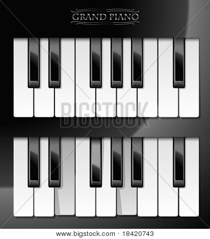 Ilustração em vetor de teclas de piano realistas