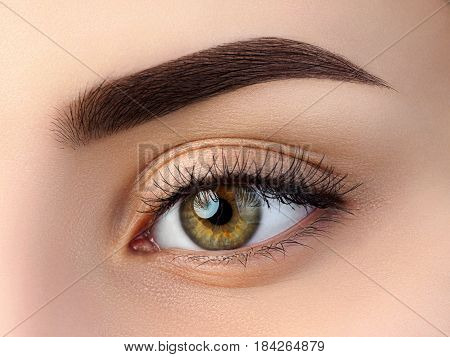 Close Up View Of Beautiful Brown Female Eye