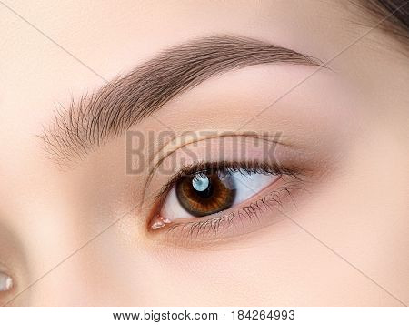 Close Up View Of Beautiful Brown Female Eye