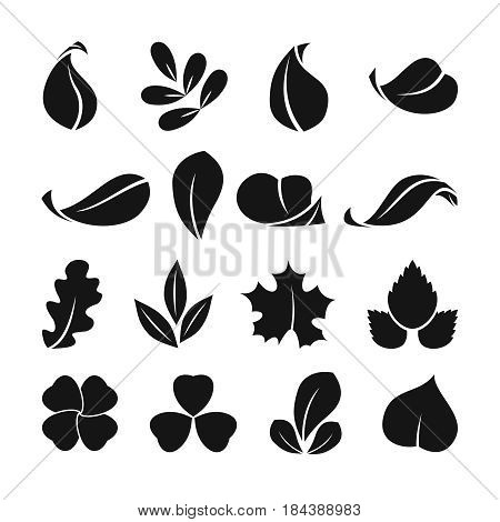 Black monochrome symbols of spring leaf. Vector shapes. Summer icon set isolate on white background. Silhouette black leaf, illustration of summer ecological leaf