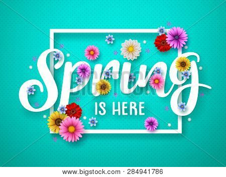 Spring Vector Banner Design. Spring Text With Colorful Chrysanthemum And Daisy Flowers In White Fram