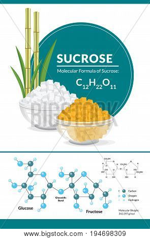 Vector illustration. Structural chemical formula and model of sucrose. White and brown sugar cubes in bowls