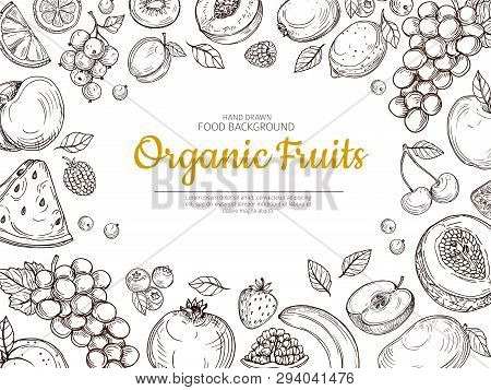 Fruit Background. Farmer Eco Fruits And Berries Vintage Sketch Healthy Food Vector Poster. Illustrat