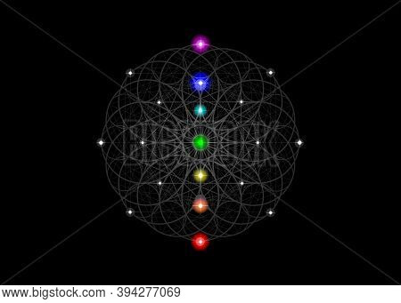 Seed Of Life Symbol Sacred Geometry. Esoteric Flower Of Life And Colorful Seven Chakras. Geometric M