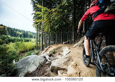 Mountain Biker Riding Cycling In Autumn Forest