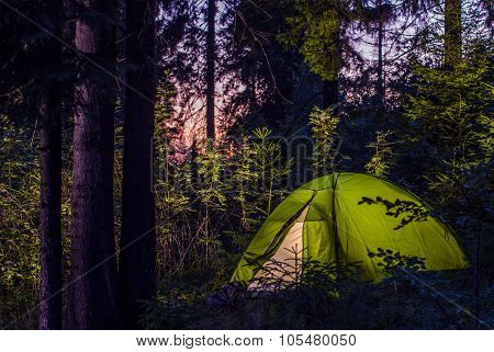 Camping In A Forest