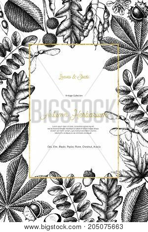 Vintage card design. Hand drawn leaves and seeds illustration. Vector autumn template. Wedding invitation with gold