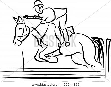 equestrian sport