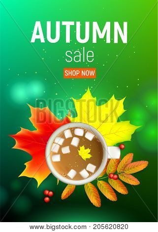 Sales banner with maple autumn leaves and rowan branches with ashberry and cup of coffee with marshmallow on a green background. Autumn maple leaf and rowan branches with ashberry and cup of coffee with marshmallow on a green background. Vector illustrati