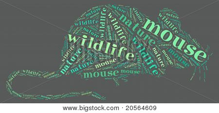 Wordcloud крыса