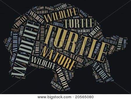 Wordcloud черепаха