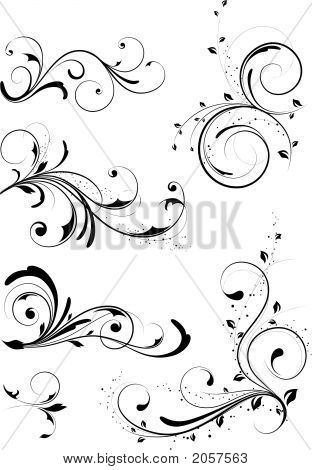 Floral Design Elements. Vector Illustration