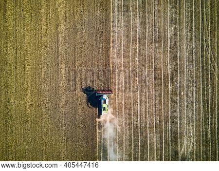 Aerial View On Combine Harvester Gathers The Wheat At Sunset. Harvesting Grain Field, Crop Season. V