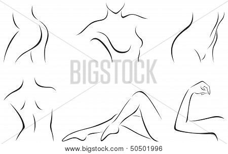 Set Of Stylized Body Parts