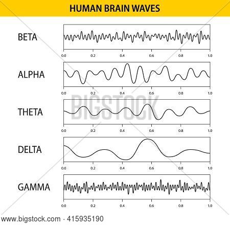 Beta, Alpha, Theta, Delta, Gamma Brain Waves. Set Of Brain Waves Oscillation. Human Rhythm, Types, A