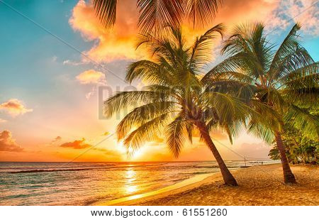 Beautiful sunset over the sea with a view at palms on the white beach on a Caribbean island of Barbados