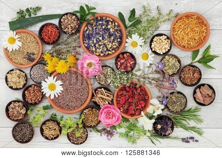 Large medicinal herb and flower selection used in natural alternative medicine over distressed wooden background.