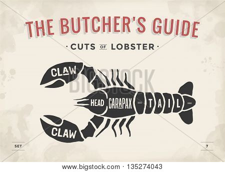 Cut of meat set. Poster Butcher diagram and scheme - Lobster. Vintage typographic hand-drawn visual guide for butcher shop. Vector illustration