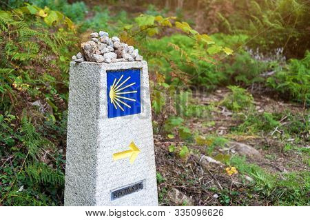 Yellow Scallop Shell, Touristic Symbol Of The Camino De Santiago Showing Direction On Camino Norte I