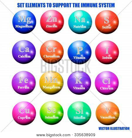 Set Elements And Vitamins To Support Immune System. Vector Illustration With Isolated White Backgrou