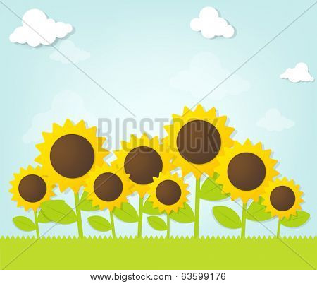 Sunflowers under blue sky