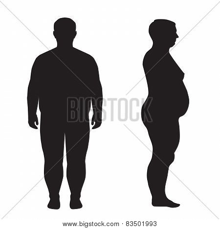 vector fat body,