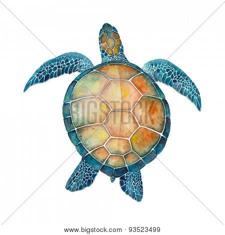 Watercolor Sea Turtle