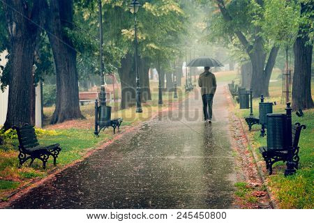 Rainy Day In The Park. Man Walking With Umbrella Under The Rain. Rain In The Park. Rainy Day In The 