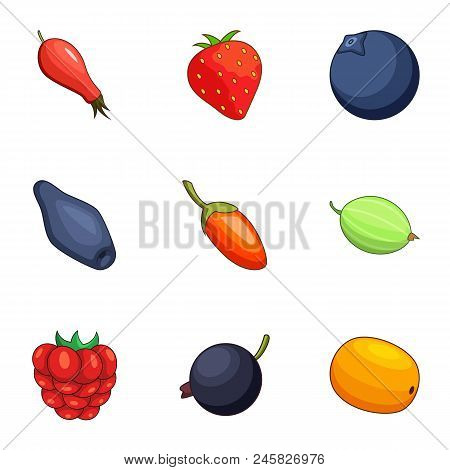 Sucrose Icons Set. Cartoon Set Of 9 Sucrose Vector Icons For Web Isolated On White Background