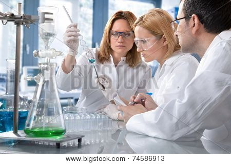 group of the students working at the laboratory