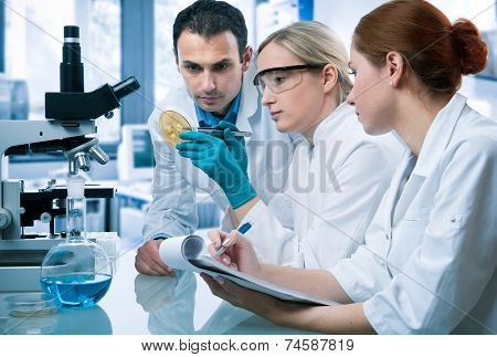 group of scientists working at the laboratory