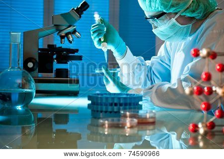 scientist working at the laboratory