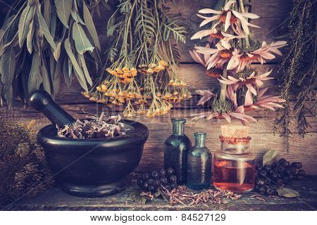 Vintage Stylized Photo Of  Healing Herbs Bunches, Black Mortar And Oil Bottles, Herbal Medicine.