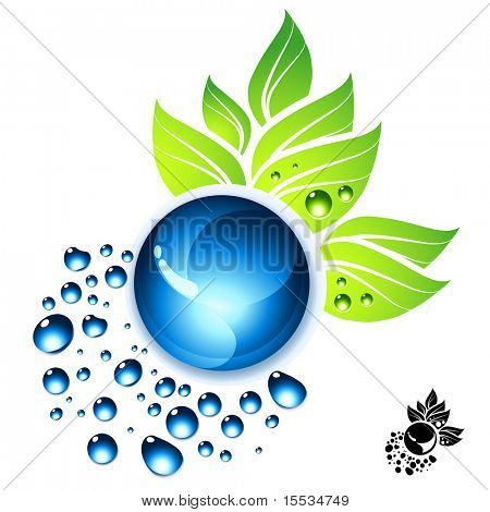 Gouttes d'eau et de feuilles vertes vector illustration.