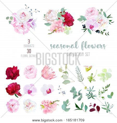 Pink rose white and burgundy red peony protea violet orchid hydrangea campanula flowers and mix of seasonal plants and herbs big vector collection. All elements are isolated and editable.