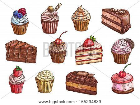 Cakes, cupcakes and pastry desserts vector sketch isolated icons of chocolate muffin, creamy pie or tarts with strawberry and cherry berry on whipped cream topping, vanilla waffle biscuit and cookies for bakery shop, cafe, cafeteria or patisserie