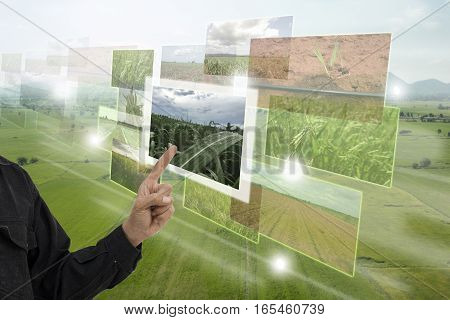 Internet of things(agriculture concept)smart farmingindustrial agriculture.Farmer point hand to use augmented reality technology to control monitor and mangement in the farm