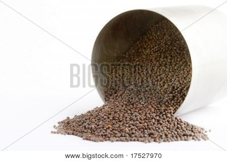 Bulk black (Brassica hirta) mustard spilling froma container