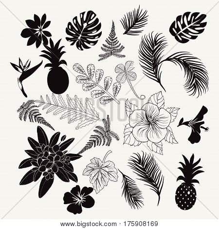 Vector collection of tropical plants leaves and flowers isolated palm fern monstera leaves collection set of tropical botanical black icon design elements