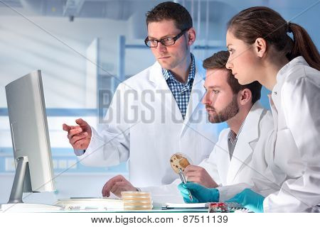 group of scientists working at the laboratory