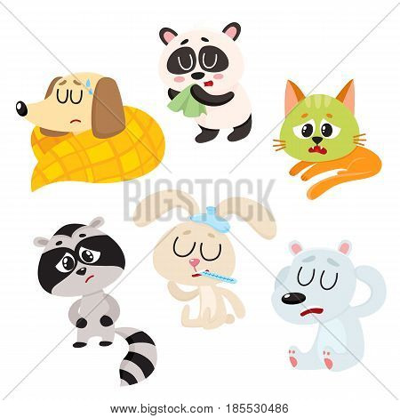 Sick, ill animals and pets - fever, headache, stomach ache, flu, running nose, cartoon vector illustration isolated on a white background. Sick baby animals - panda, dog, cat, rabbit, raccoon, bear