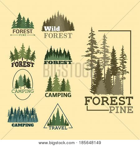 Tree outdoor travel green silhouette forest logo coniferous natural badge tops pine spruce branch cedar and plant leaf abstract stem drawing vector illustration. Panorama scene horizon decoration.