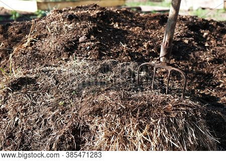 Large Pile Of Manure And Pitchfork, Ecological Organic Fertilizer To Accelerate Plant Growth. Agricu