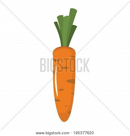 Carrot icon in cartoon flat style isolated object vegetable organic eco bio product from the farm vector illustration. Carrot object for vegetarian design