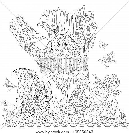 Coloring book page of forest landscape owl cuckoo bird woodpecker squirrel snail stag beetle butterflies. Freehand drawing for adult antistress colouring with doodle and zentangle elements.