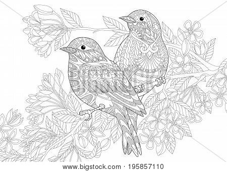 Coloring page of two birds. Freehand sketch drawing for adult antistress colouring book with doodle and zentangle elements.