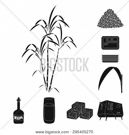 Vector Design Of Sucrose And Technology Sign. Set Of Sucrose And Cane Stock Vector Illustration.