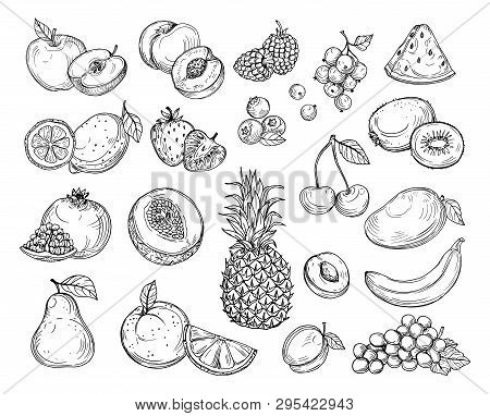 Sketch Fruits. Strawberry Melon, Peach Mango. Banana Pineapple, Raspberry Grapes Hand Drawn Fruit Be