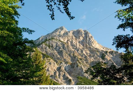 太陽に照らされた山の枝に隣接して