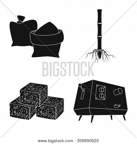 Vector Design Of Sucrose And Technology Sign. Collection Of Sucrose And Cane Stock Symbol For Web.